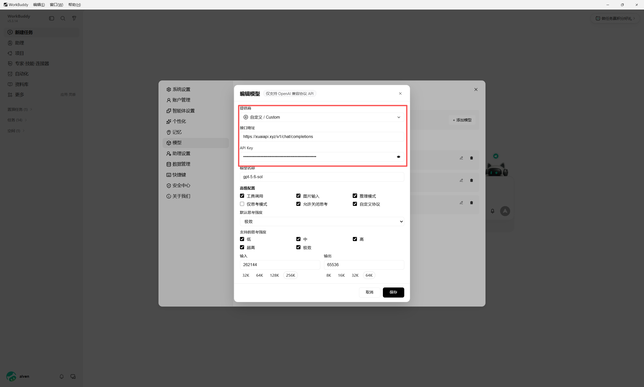 填写自定义模型参数